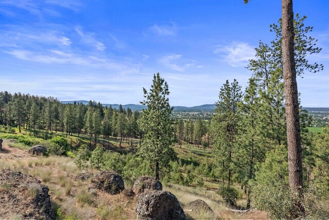 5647 N Fruit Hill Rd, Spokane, WA 99217 - photo 47