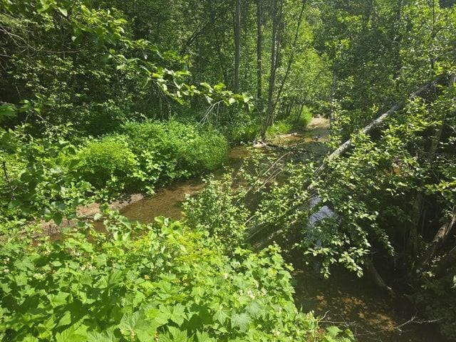 37XX Red Marble Rd, Valley, WA 99181