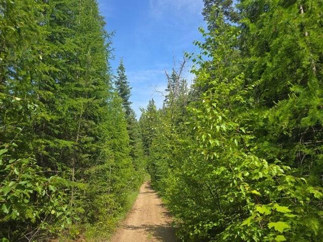 37XX Red Marble Rd, Valley, WA 99181