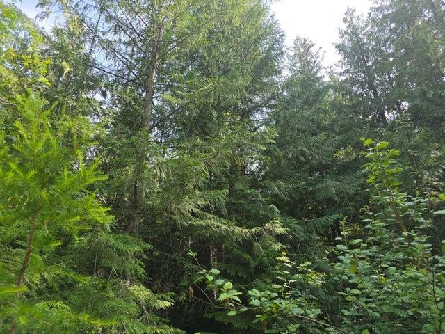 37XX Red Marble Rd, Valley, WA 99181