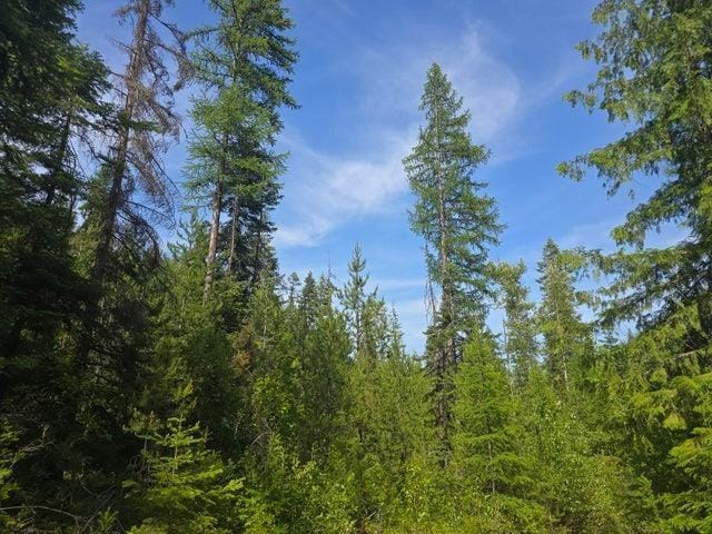 37XX Red Marble Rd, Valley, WA 99181