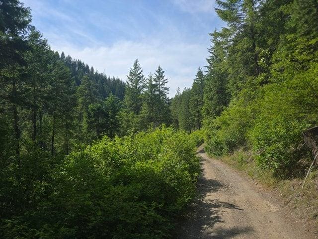 37XX Red Marble Rd, Valley, WA 99181