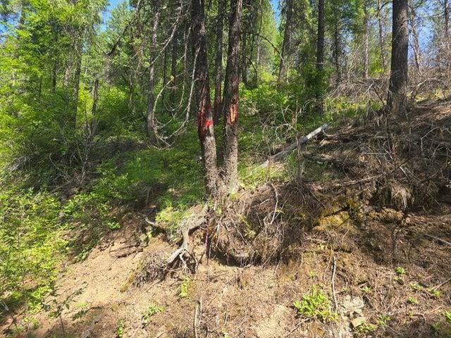 37XX Red Marble Rd, Valley, WA 99181