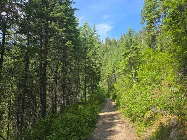 37XX Red Marble Rd, Valley, WA 99181