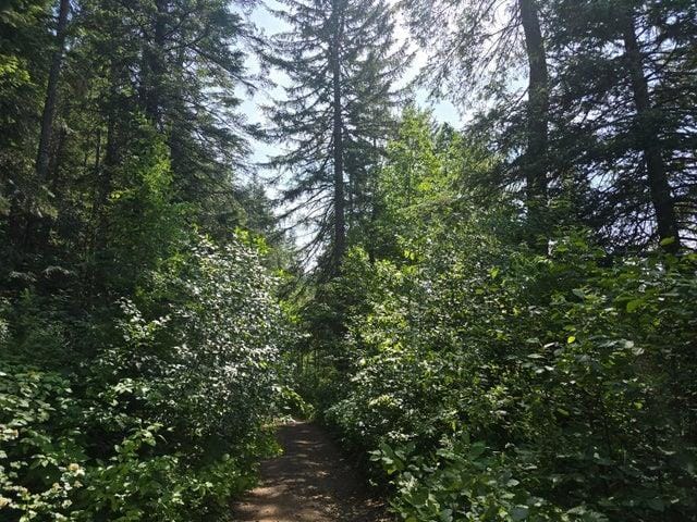 37XX Red Marble Rd, Valley, WA 99181