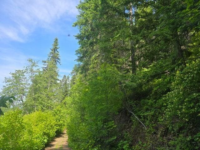 37XX Red Marble Rd, Valley, WA 99181