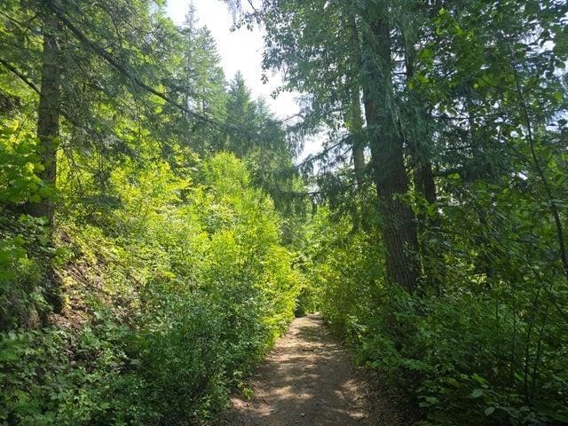 37XX Red Marble Rd, Valley, WA 99181