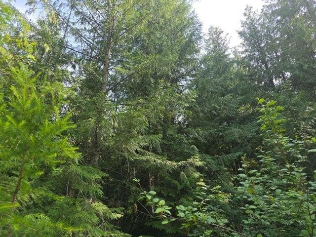 37XX Red Marble Rd, Valley, WA 99181