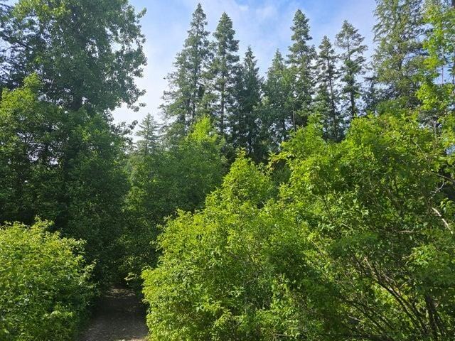 37XX Red Marble Rd, Valley, WA 99181
