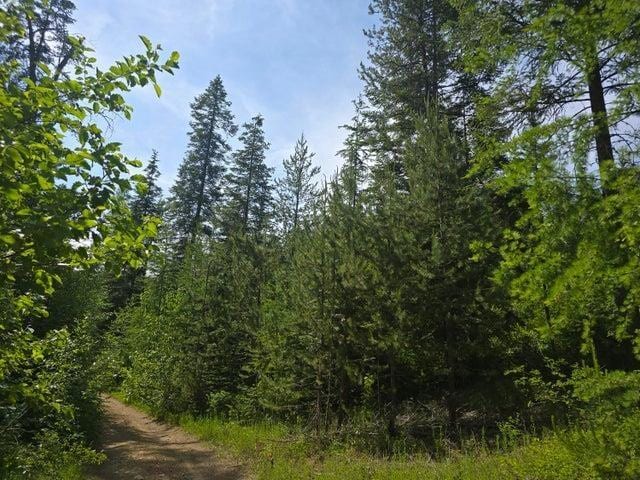 37XX Red Marble Rd, Valley, WA 99181
