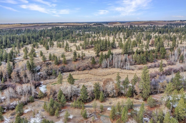 000 S Phillips Rd, Cheney, WA 99004