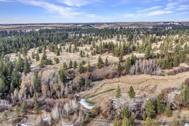 000 S Phillips Rd, Cheney, WA 99004