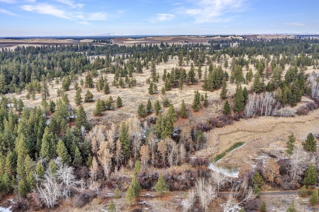 000 S Phillips Rd, Cheney, WA 99004