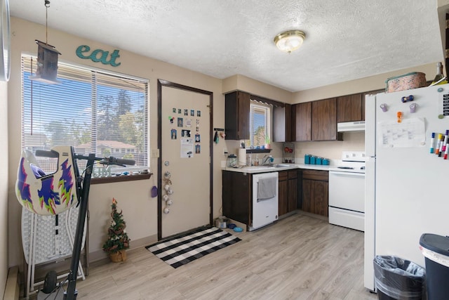 1526-1528 E Rowan Ave, Spokane, WA 99207 - kitchen featuring white appliances, light countertops, under cabinet range hood, light wood finished floors, and a textured ceiling