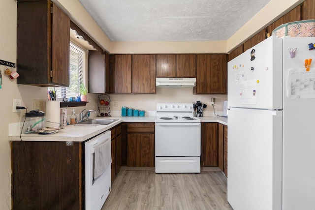 1526-1528 E Rowan Ave, Spokane, WA 99207 - kitchen with white appliances, under cabinet range hood, light wood-type flooring, light countertops, and a textured ceiling