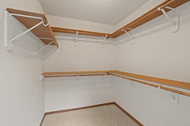 13419 N Whitehouse Ct, Spokane, WA 99208 - walk in closet featuring carpet floors