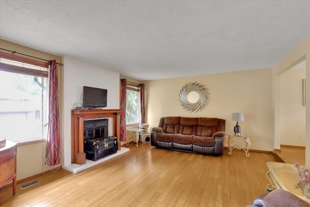 4319 S Myrtle St, Spokane, WA 99223 - living room with light wood-style floors, a glass covered fireplace, and a textured ceiling