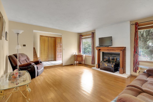 4319 S Myrtle St, Spokane, WA 99223 - living room featuring a glass covered fireplace and light wood finished floors