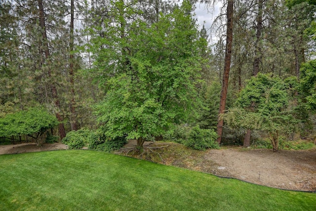 1026 W Bellwood Dr, Spokane, WA 99218 - view of grassy yard with a view of trees