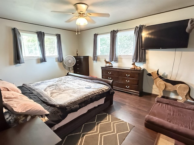 1710 E Crown Ave, Spokane, WA 99207 - bedroom featuring multiple windows, dark wood-style floors, and ceiling fan