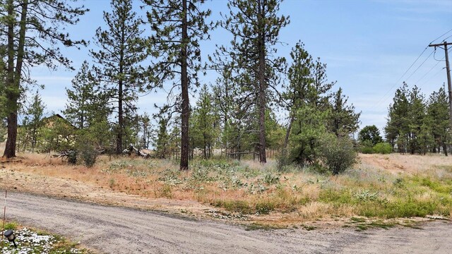 0 S H St, Spokane, WA 99224 - photo 17