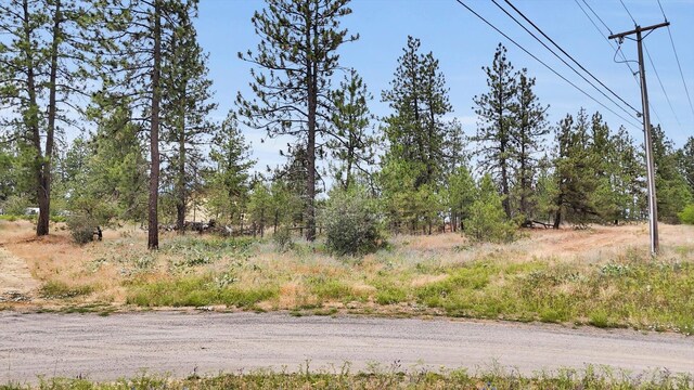 0 S H St, Spokane, WA 99224 - photo 24