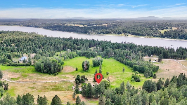 42503 N Regal Rd, Elk, WA 99009 - bird's eye view of a water and mountain view
