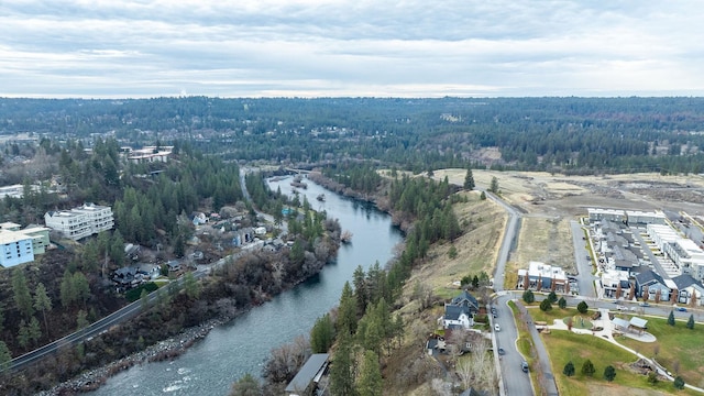 2121 W Bridge Ave Unit 2121, Spokane, WA 99201 - aerial view of a heavily wooded area and a nearby body of water