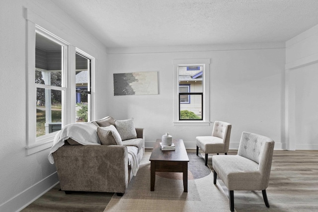 411 S Ferrall St, Spokane, WA 99202 - living room with wood finished floors, plenty of natural light, and a textured ceiling