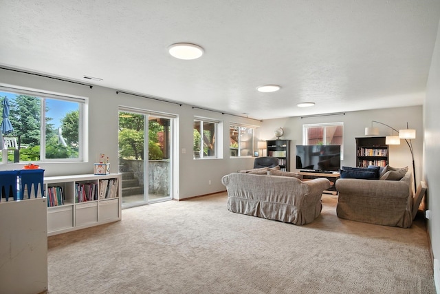 116 W Bristol Ave, Spokane, WA 99224 - living area featuring carpet floors and a textured ceiling