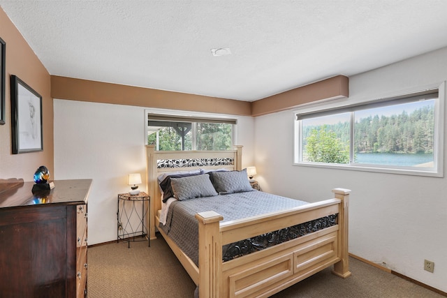 6519I Myrtle Dr, Nine Mile Falls, WA 99026 - carpeted bedroom with baseboards and a textured ceiling
