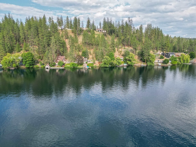 6519I Myrtle Dr, Nine Mile Falls, WA 99026 - water view