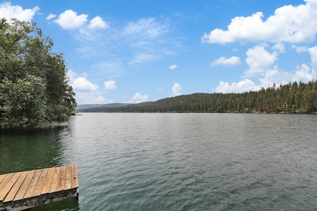 6519I Myrtle Dr, Nine Mile Falls, WA 99026 - dock area featuring a forest view and a water view