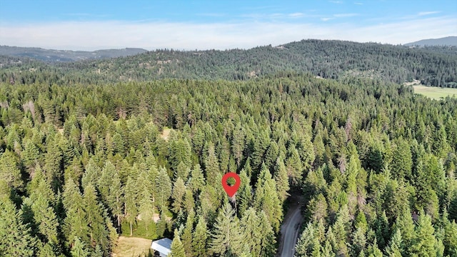 13306 N Muzzy Rd, Newman Lake, WA 99025 - aerial overview of property's location featuring a heavily wooded area and a mountain backdrop
