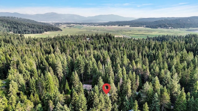 13306 N Muzzy Rd, Newman Lake, WA 99025 - mountain view with a heavily wooded area