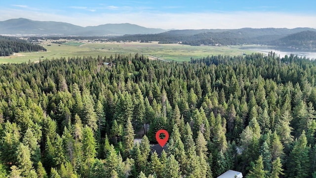 13306 N Muzzy Rd, Newman Lake, WA 99025 - mountain view featuring a forest