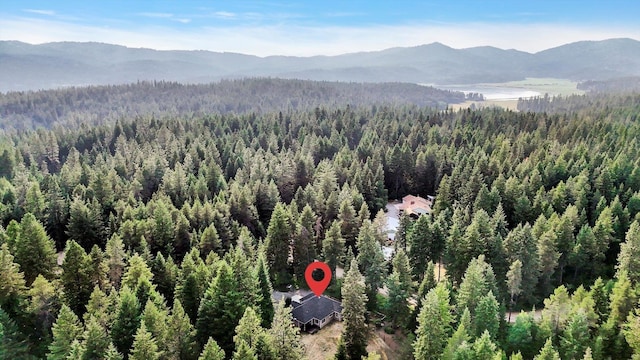 13306 N Muzzy Rd, Newman Lake, WA 99025 - drone / aerial view of a forest