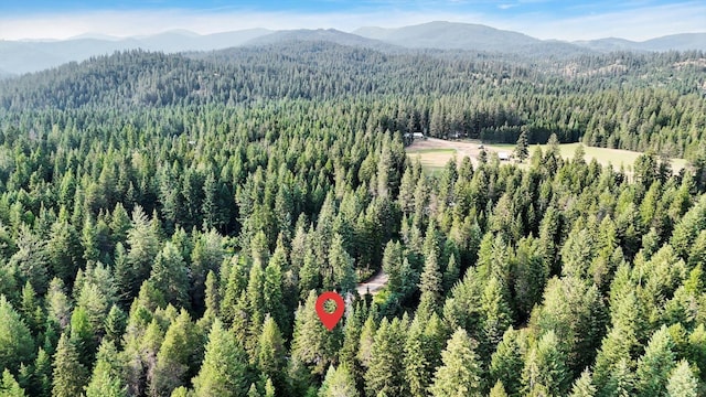 13306 N Muzzy Rd, Newman Lake, WA 99025 - aerial view of a heavily wooded area and a mountain backdrop