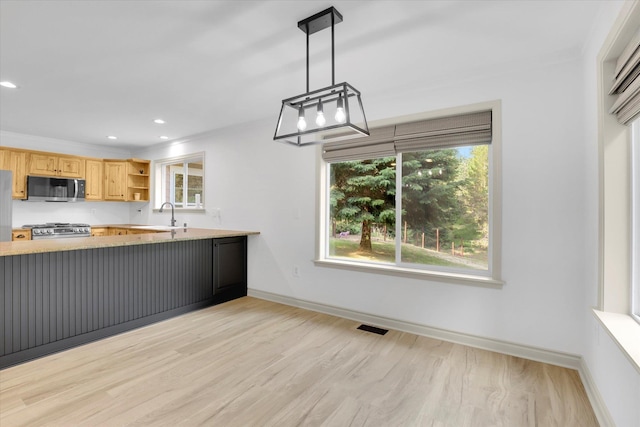 13306 N Muzzy Rd, Newman Lake, WA 99025 - kitchen with appliances with stainless steel finishes, open shelves, light wood finished floors, light countertops, and recessed lighting