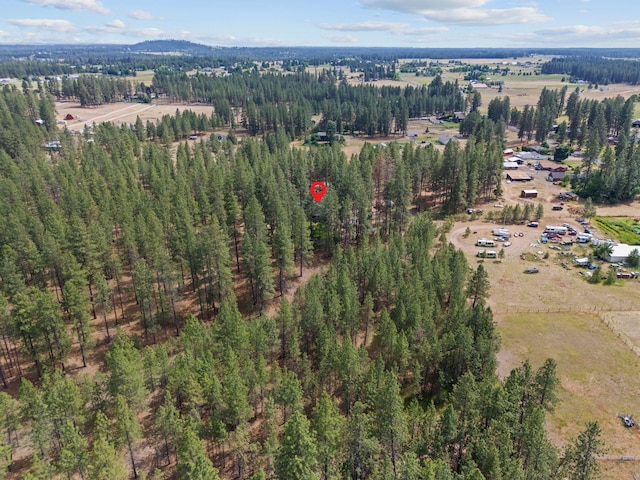 7617 S Cedar Rd, Spokane, WA 99224 - aerial view of property's location
