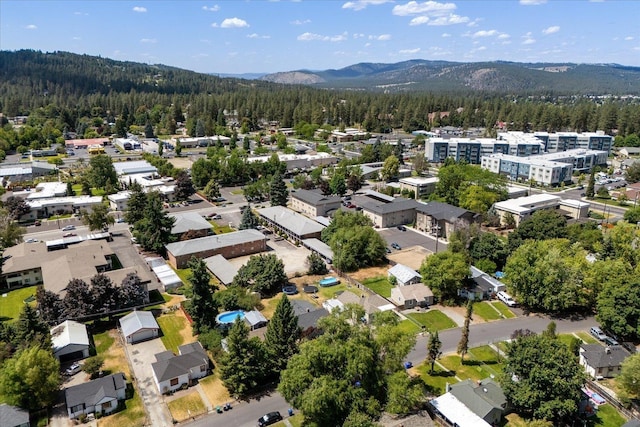 10107 N Whittier St, Spokane, WA 99218 - photo 34