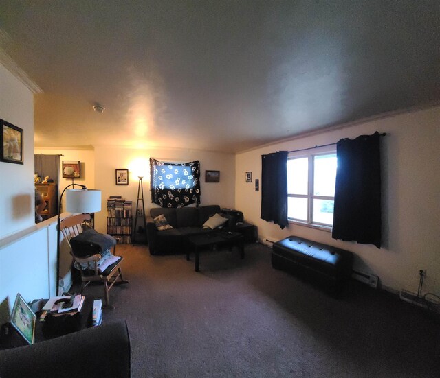 2613 W Gardner Ave, Spokane, WA 99201 - view of carpeted living room