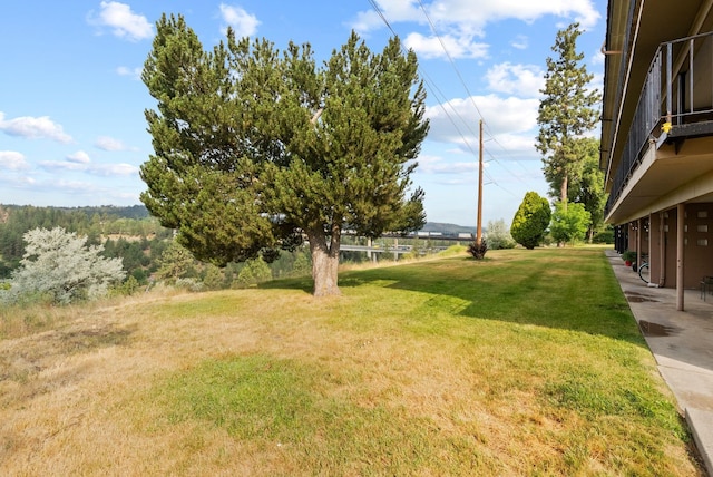 2015 W 10th Ave, Spokane, WA 99204 - photo 4