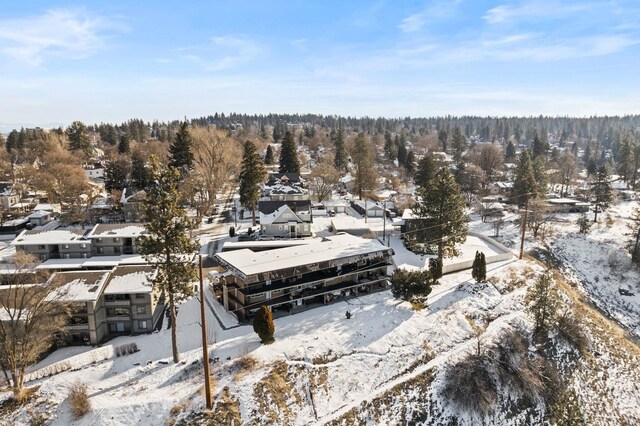 2015 W 10th Ave, Spokane, WA 99204 - photo 6