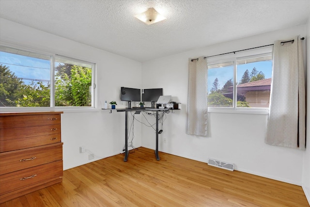 3511 W Francis Ave, Spokane, WA 99205 - bedroom featuring light wood finished floors, multiple windows, and a textured ceiling