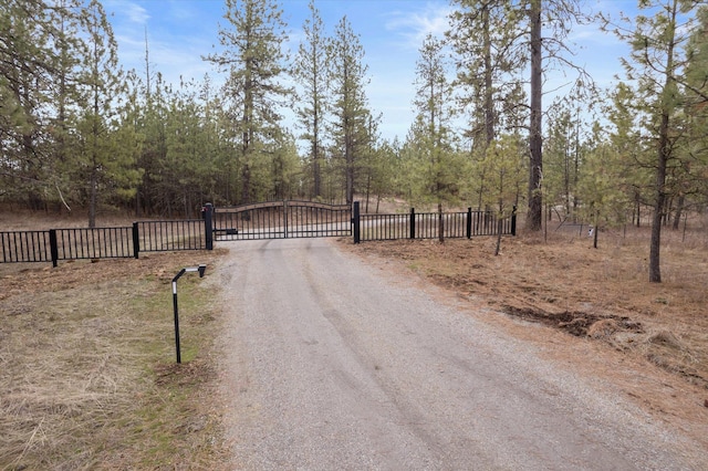 12912 E Gibbs Rd, Mica, WA 99023 - photo 2