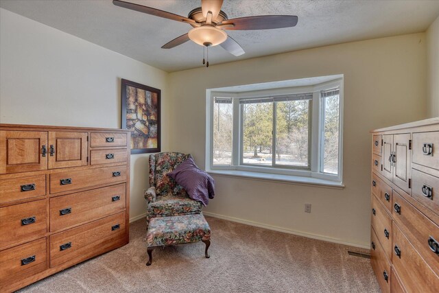 12912 E Gibbs Rd, Mica, WA 99023 - photo 35