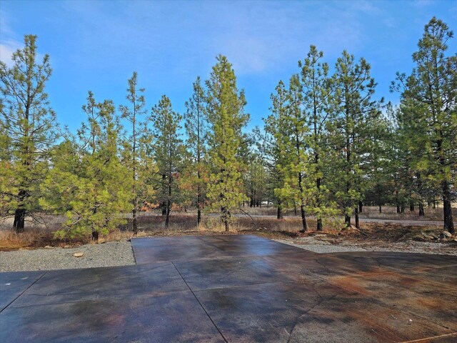 12912 E Gibbs Rd, Mica, WA 99023 - photo 43