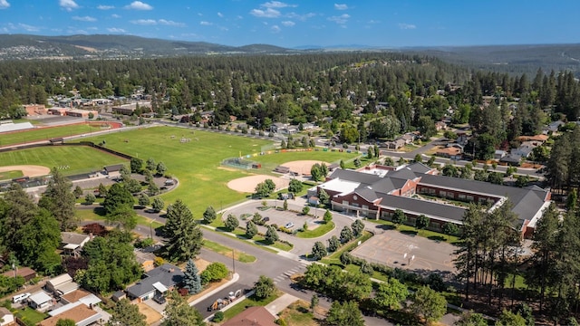 17 E 34th Ave, Spokane, WA 99203 - view of property location featuring a heavily wooded area