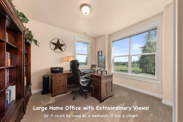 9302 W Floyd Dr, Cheney, WA 99004 - office with light carpet and baseboards